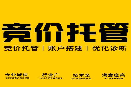 SEM服务助力企业快速增长案例